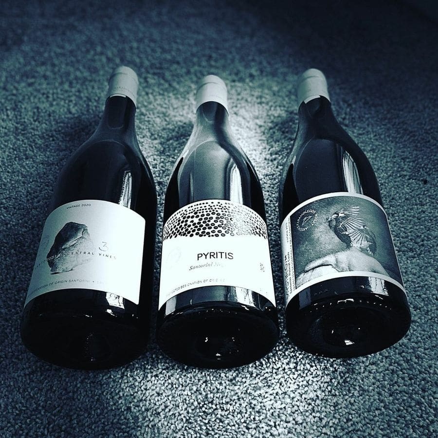 331299158_718914396403515_5910771478947850258_n (1).jpg